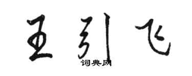 駱恆光王引飛行書個性簽名怎么寫