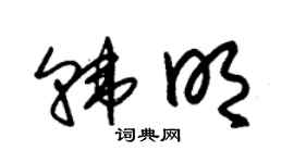 朱錫榮韓明草書個性簽名怎么寫