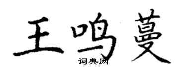 丁謙王鳴蔓楷書個性簽名怎么寫