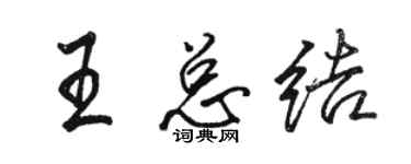 駱恆光王總結行書個性簽名怎么寫
