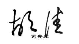 駱恆光胡佳草書個性簽名怎么寫