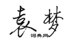 駱恆光袁夢行書個性簽名怎么寫