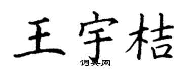 丁謙王宇桔楷書個性簽名怎么寫