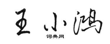 駱恆光王小鴻行書個性簽名怎么寫