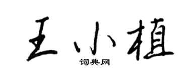 王正良王小植行書個性簽名怎么寫