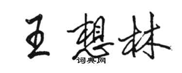 駱恆光王想林行書個性簽名怎么寫