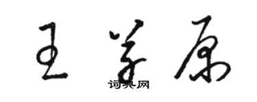 駱恆光王草原草書個性簽名怎么寫