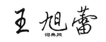 駱恆光王旭蕾行書個性簽名怎么寫