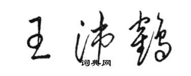 駱恆光王沛鶴草書個性簽名怎么寫