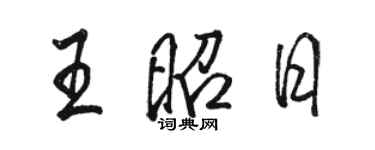 駱恆光王昭日行書個性簽名怎么寫