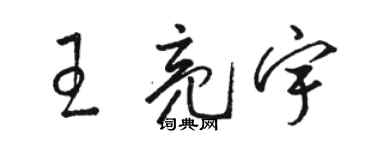 駱恆光王亮宇草書個性簽名怎么寫