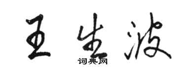 駱恆光王生波行書個性簽名怎么寫