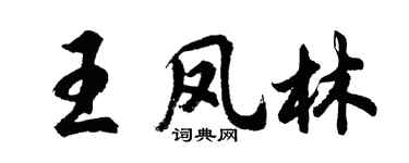 胡問遂王鳳林行書個性簽名怎么寫