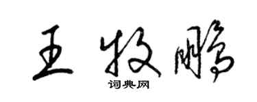 梁錦英王牧鵬草書個性簽名怎么寫