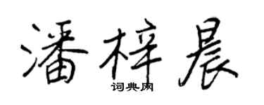 王正良潘梓晨行書個性簽名怎么寫