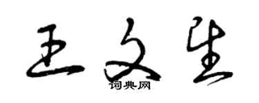 曾慶福王文望草書個性簽名怎么寫