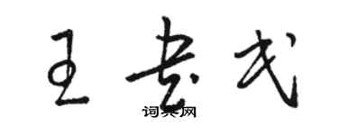 駱恆光王書民草書個性簽名怎么寫