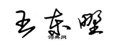 朱錫榮王東野草書個性簽名怎么寫