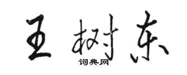駱恆光王樹東行書個性簽名怎么寫
