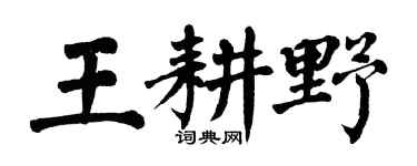 翁闓運王耕野楷書個性簽名怎么寫