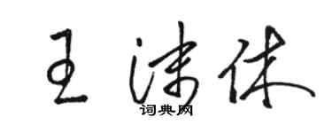 駱恆光王沫休草書個性簽名怎么寫