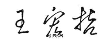 駱恆光王宏哲草書個性簽名怎么寫