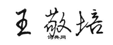 駱恆光王敬培行書個性簽名怎么寫