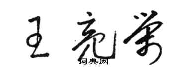 駱恆光王亮榮草書個性簽名怎么寫