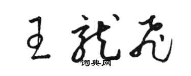 駱恆光王龍飛草書個性簽名怎么寫