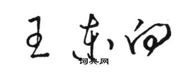 駱恆光王東向草書個性簽名怎么寫