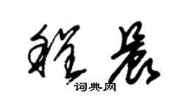 朱錫榮程晨草書個性簽名怎么寫