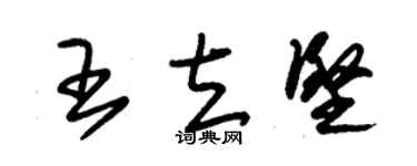 朱錫榮王立堅草書個性簽名怎么寫