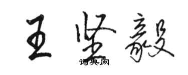 駱恆光王堅毅行書個性簽名怎么寫