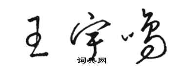 駱恆光王宇鳴草書個性簽名怎么寫