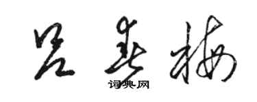 駱恆光呂春梅草書個性簽名怎么寫