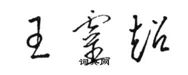 駱恆光王靈超草書個性簽名怎么寫