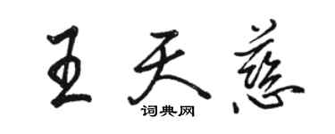 駱恆光王天慈行書個性簽名怎么寫