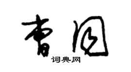 朱錫榮曹同草書個性簽名怎么寫