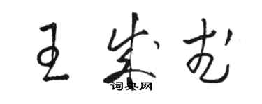 駱恆光王成武草書個性簽名怎么寫