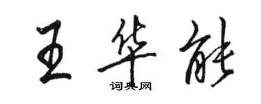 駱恆光王華能行書個性簽名怎么寫