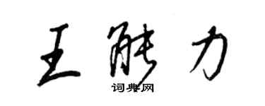 王正良王能力行書個性簽名怎么寫