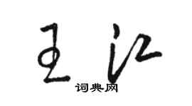 駱恆光王江草書個性簽名怎么寫