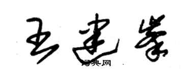 朱錫榮王建峰草書個性簽名怎么寫