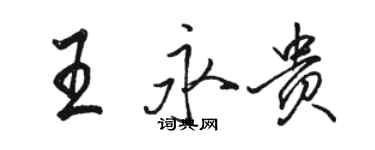 駱恆光王永貴行書個性簽名怎么寫