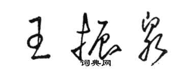 駱恆光王振泉草書個性簽名怎么寫