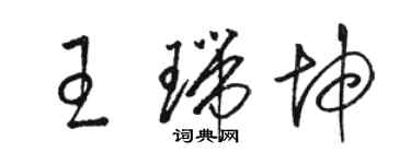 駱恆光王瑞坤草書個性簽名怎么寫