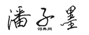 駱恆光潘子墨行書個性簽名怎么寫
