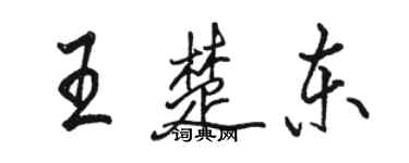 駱恆光王楚東行書個性簽名怎么寫
