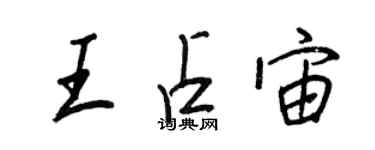 王正良王占宙行書個性簽名怎么寫