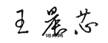 駱恆光王晨芯草書個性簽名怎么寫